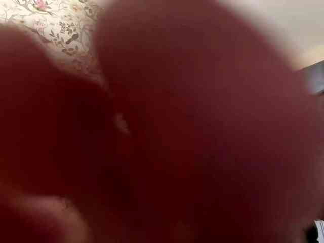 AnnaHoupt AnnaHoupt