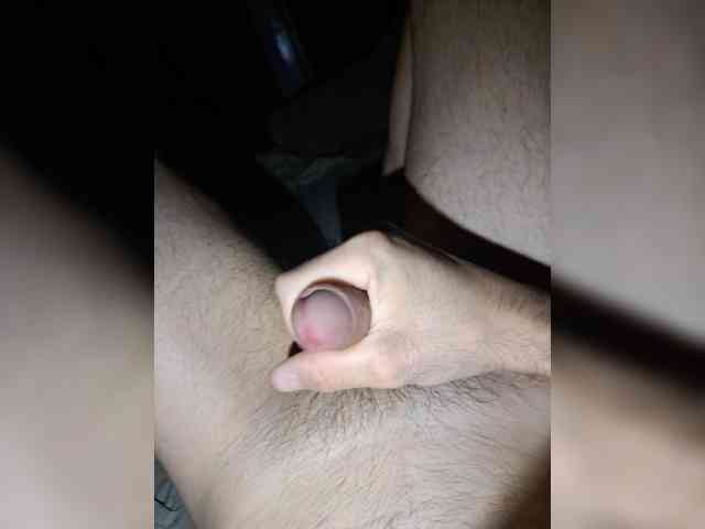 Feniks0111
