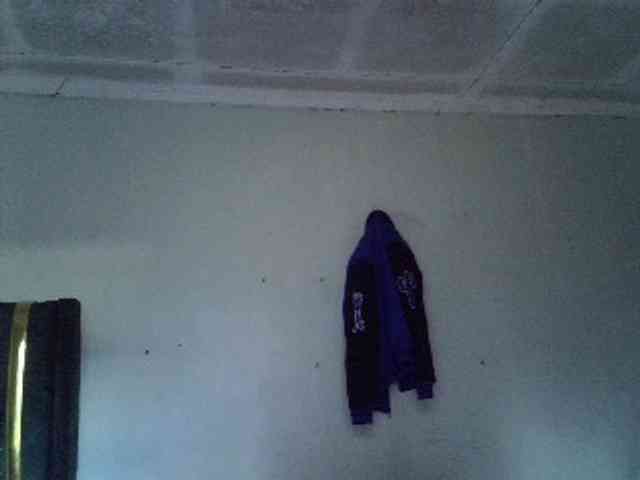 Crazyass webcam
