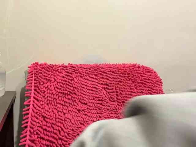 miacusy webcam