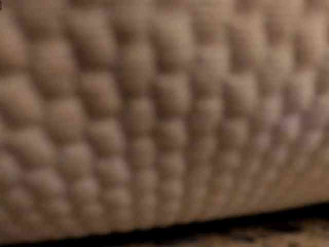 almaavery1 webcam