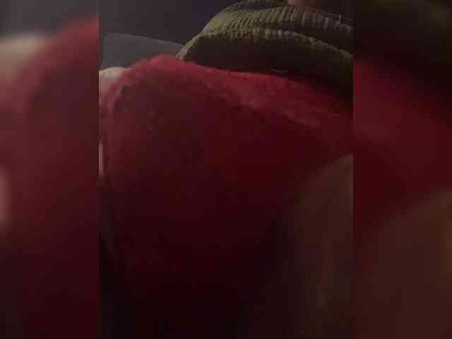 TIGRESS-LAGERTESS webcam