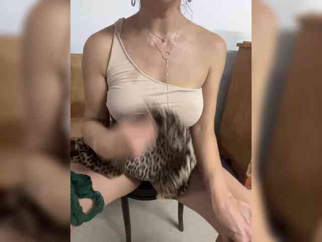TIGRESS-LAGERTESS webcam