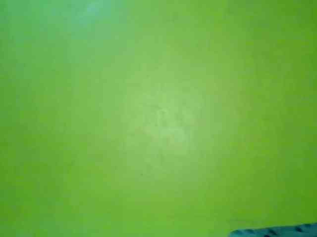 Wildy-Savage webcam