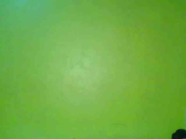 Wildy-Savage webcam