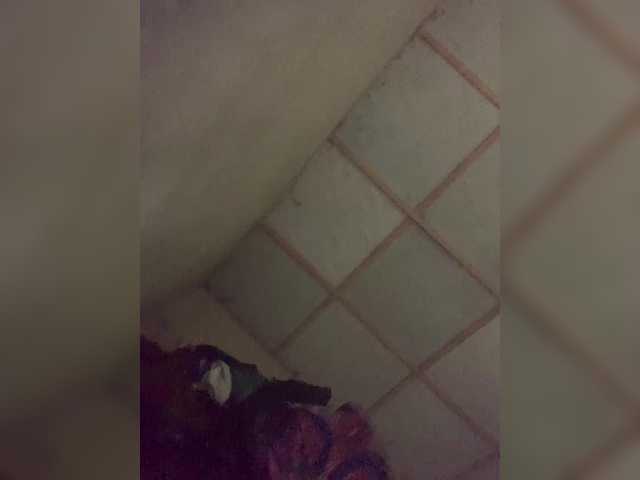 Cookie-12 live cam