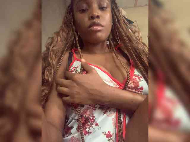 Cookie-12 webcam