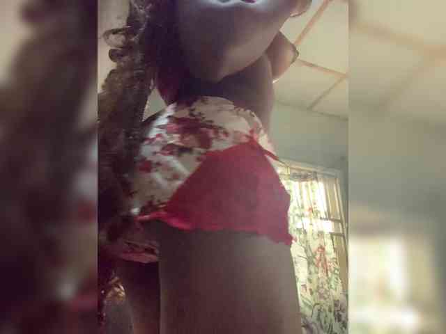 Model: Cookie-12
