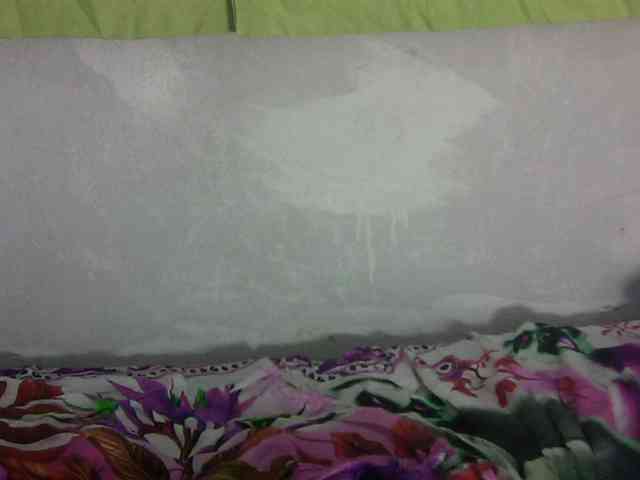 Eveliny