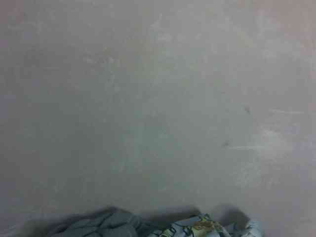 Eveliny webcam