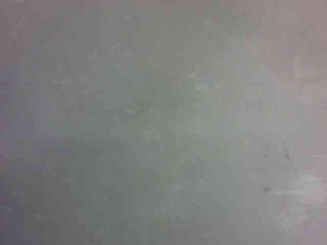 Eveliny webcam