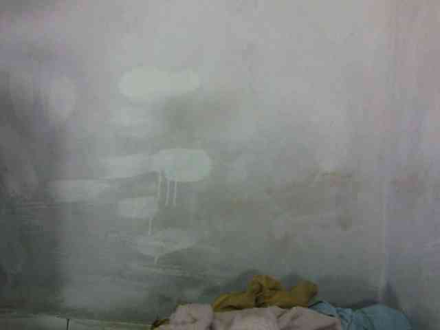 Eveliny webcam
