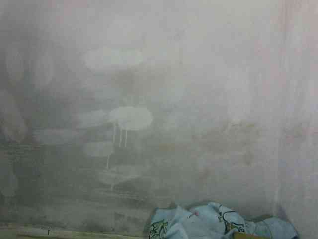 Eveliny webcam