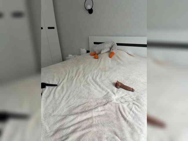 HotDesire webcam