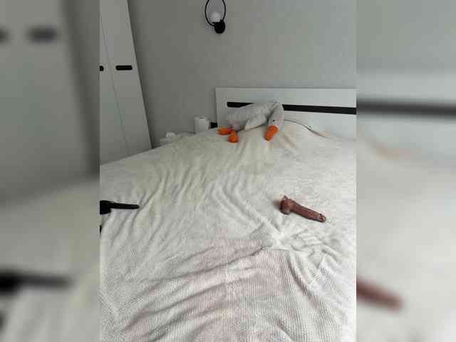 HotDesire webcam