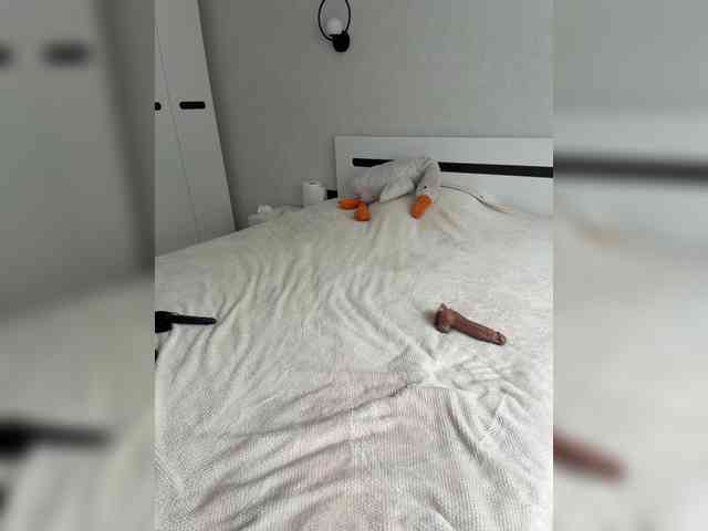HotDesire webcam