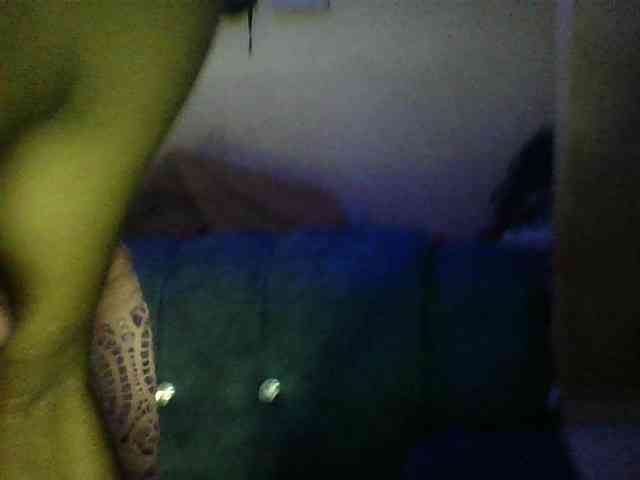 Carline-Terrie webcam