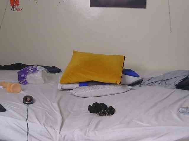 CocoPookie webcam