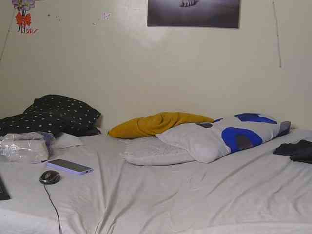 CocoPookie webcam