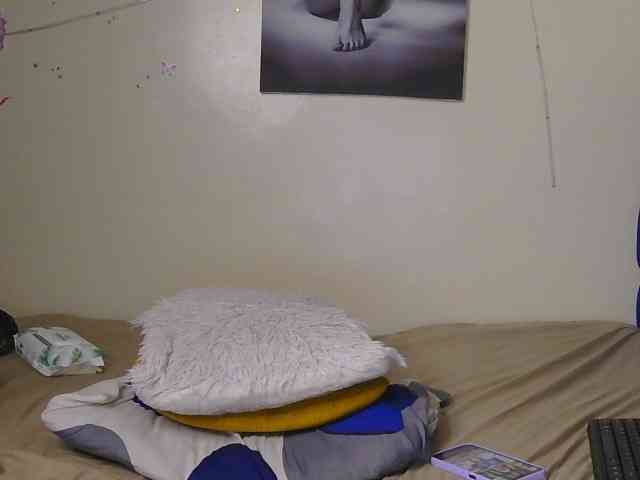 CocoPookie webcam