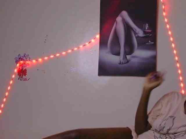 CocoPookie webcam