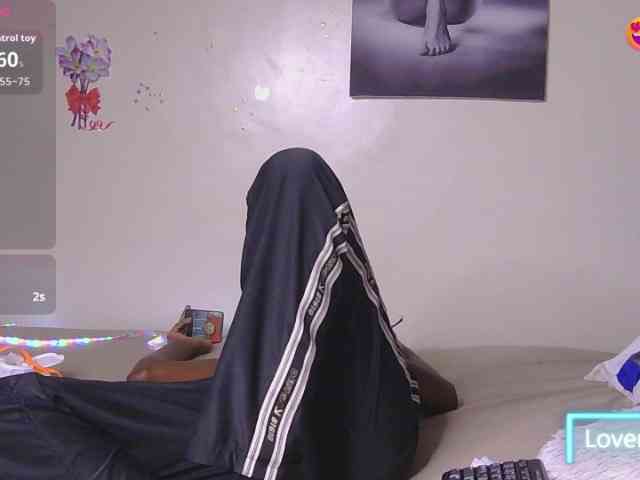 CocoPookie webcam