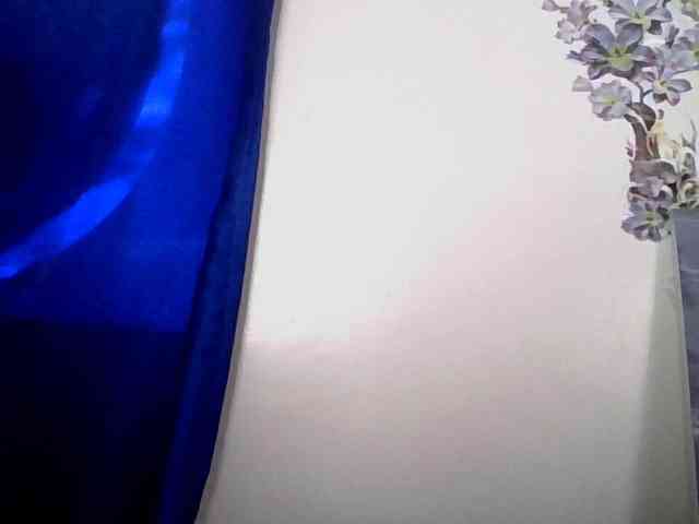 CocoPookie webcam