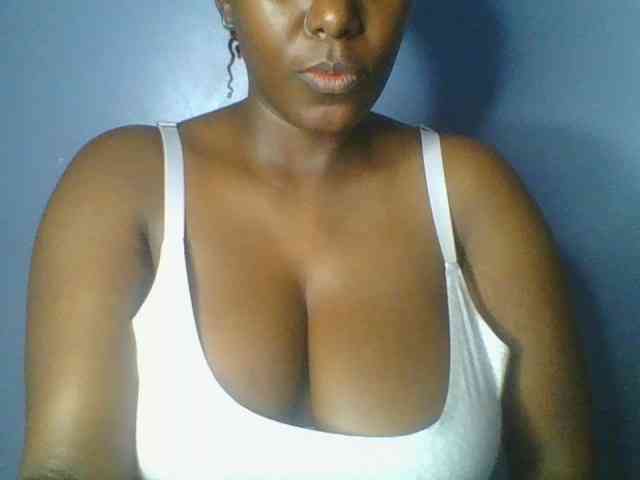 Nice-booby Nice-booby