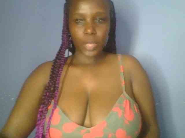 Nice-booby Nice-booby