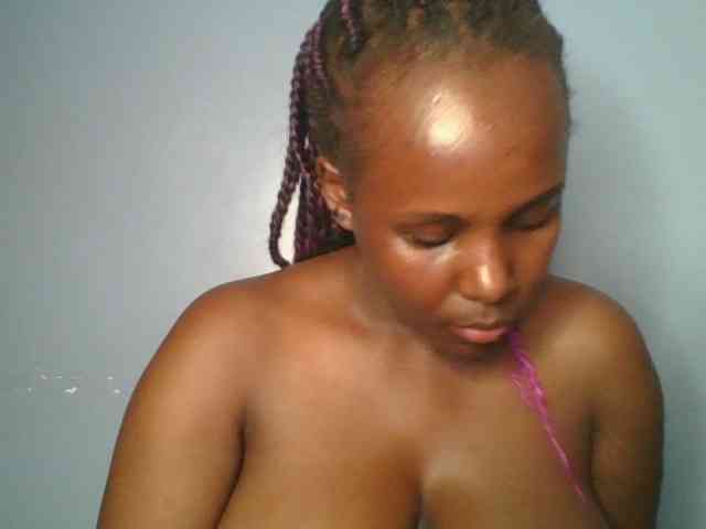 Nice-booby Nice-booby