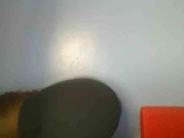 Nice-booby webcam