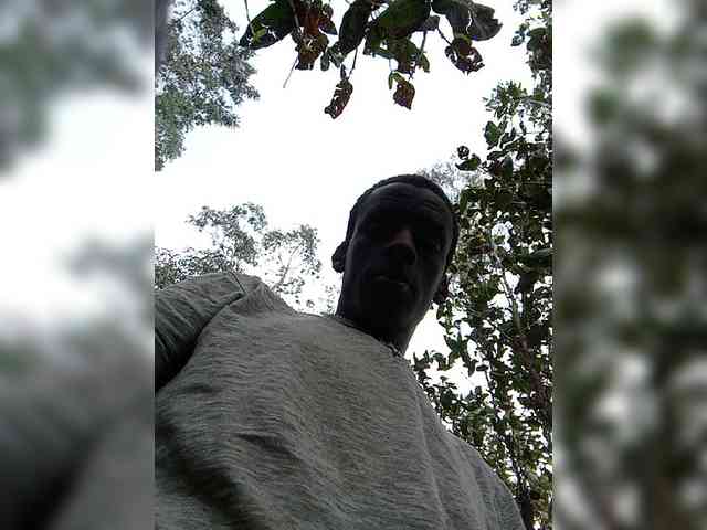 King1234-3