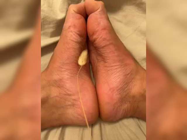 FootCandyLux