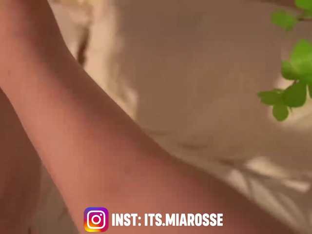 MiaRosee live cam on BongaCams