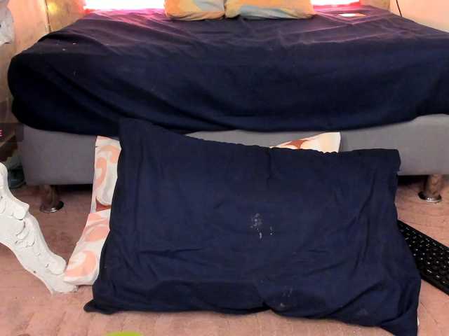 NohaNicole live cam on BongaCams