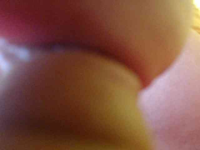 STELLA05 webcam