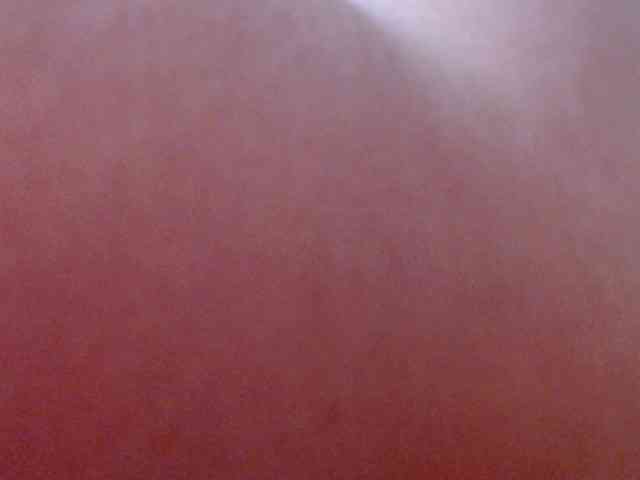 STELLA05 webcam