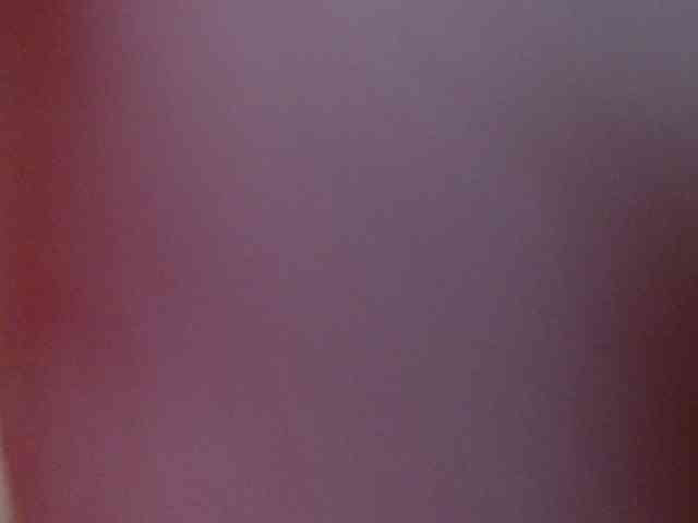 STELLA05 webcam