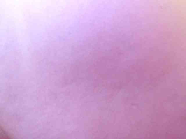 STELLA05 webcam