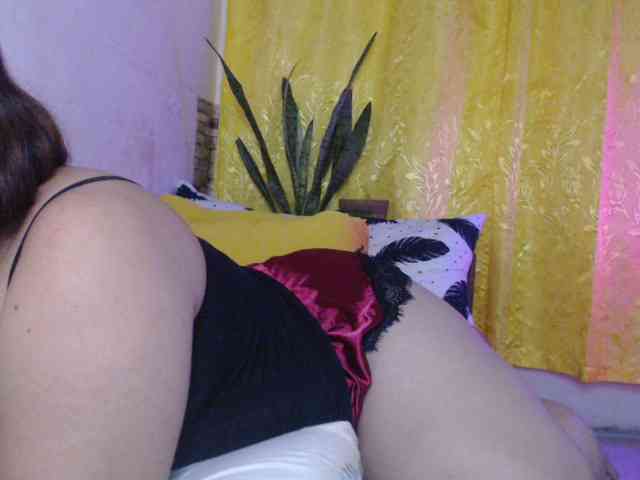 STELLA05 webcam
