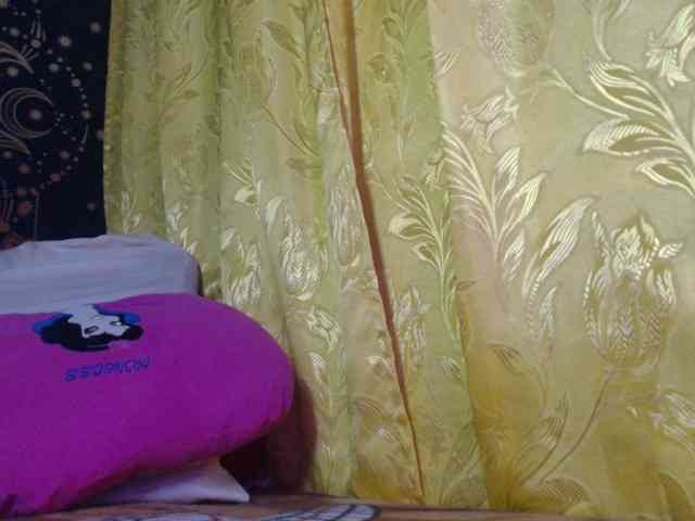 Model: STELLA05