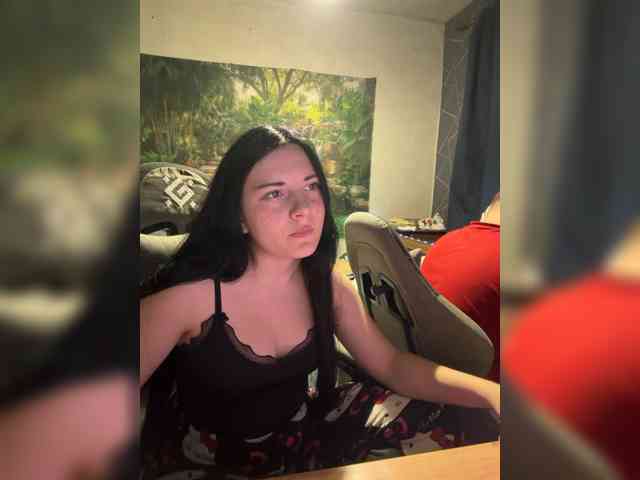 Fenychek webcam