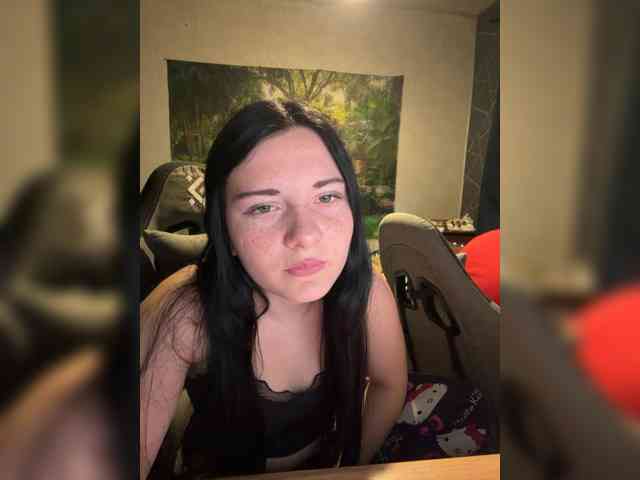 Fenychek webcam
