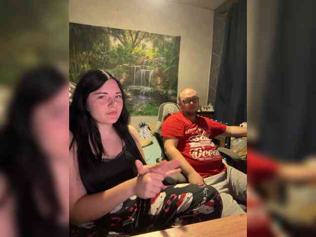 Fenychek webcam
