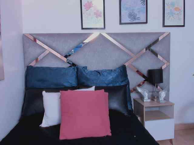 erika-sp webcam