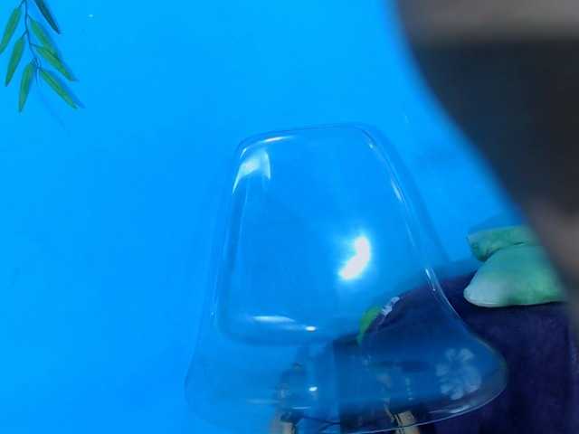 smallmerry21 live cam on BongaCams