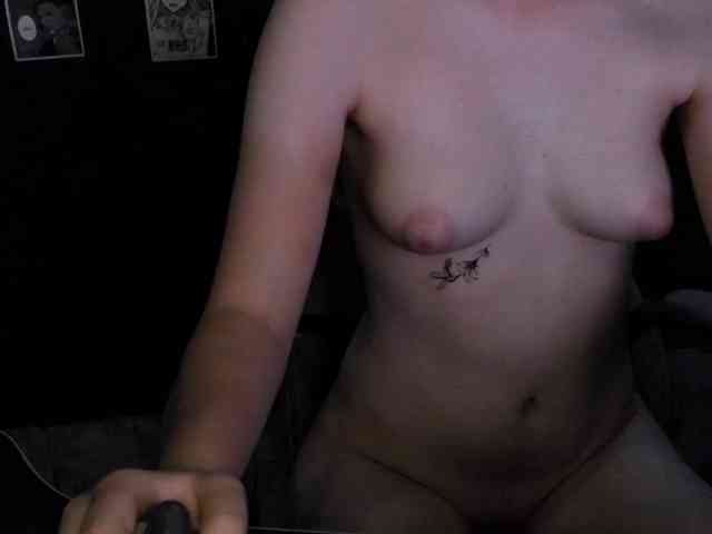SPtwcK webcam