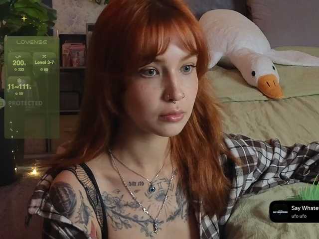 LisLy live cam preview