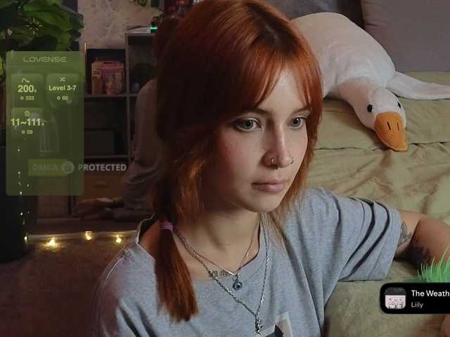 LisLy