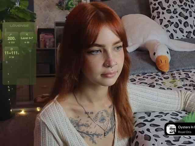 LisLy webcam